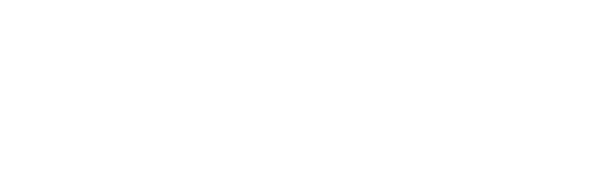 Brass-Ring-Capital_Complete-Logo-Mark_transparent-for-light-background_RGB_white